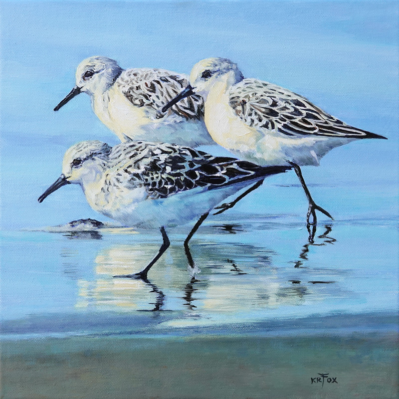 Shore Patrol (Sanderlings)