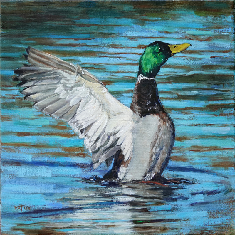 Mallard, Perkin's Pond Thumbnail