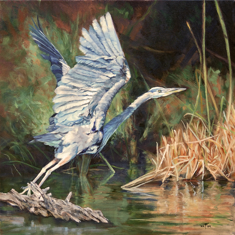The Launch (Great Blue Heron)