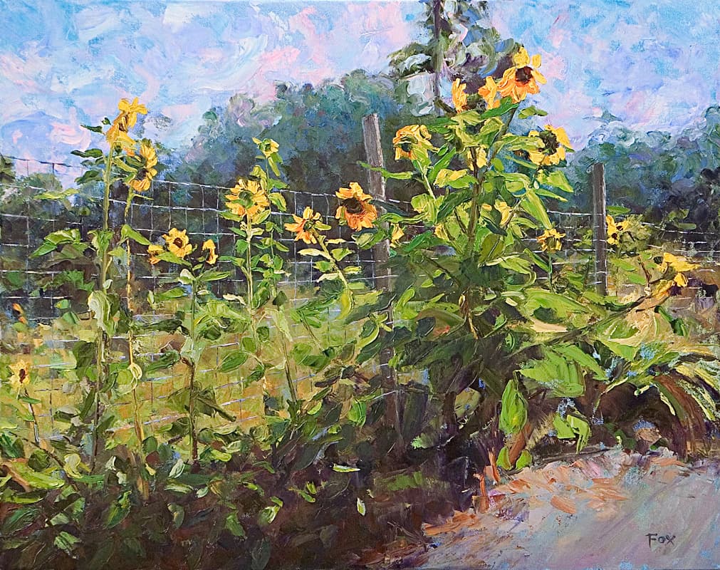Hogsback Farm Sunflowers Thumbnail