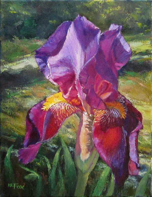 Iris