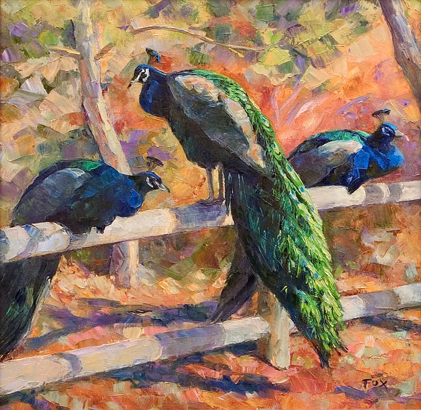 Peacocks Three Thumbnail