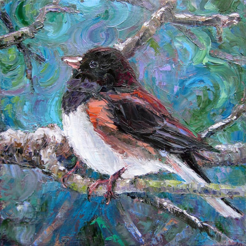 Posing (Dark-eyed Junco) Thumbnail