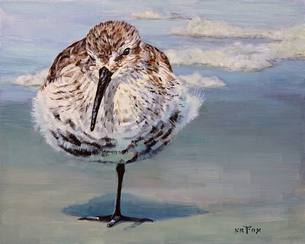 Chillin' (Western Sandpiper)