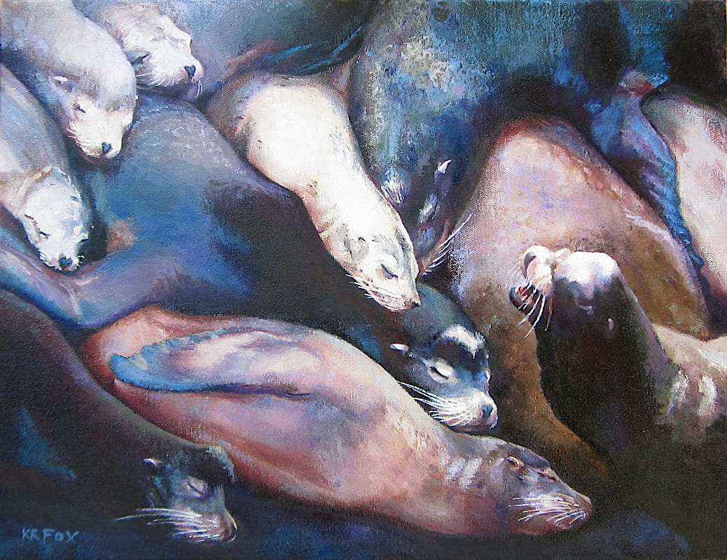 Sea Lions, Newport's Historic Bayfront