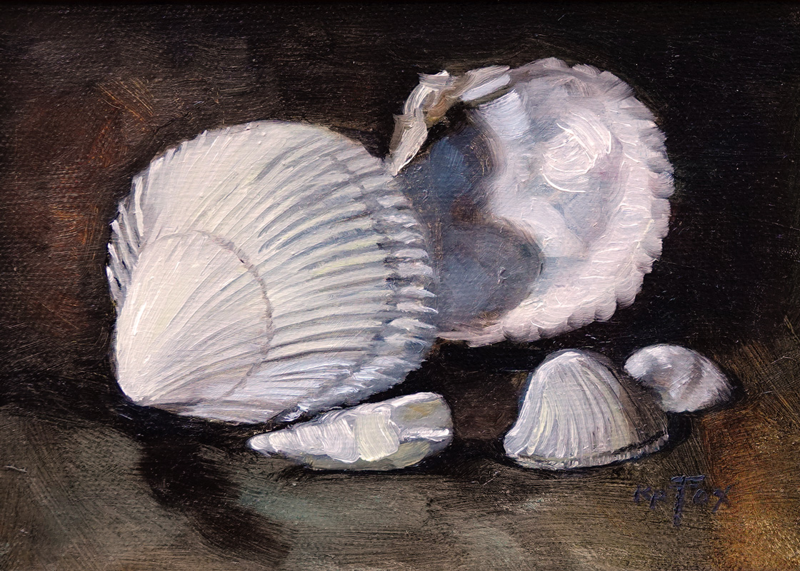 Shells